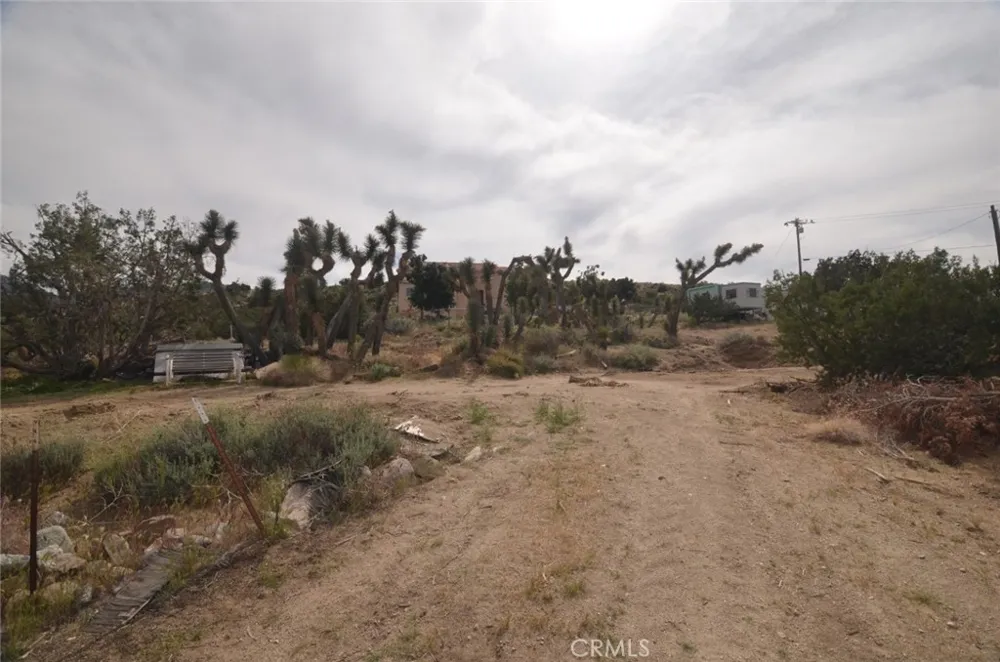 Longview x Old Homestead Juniper Hills, CA 93553