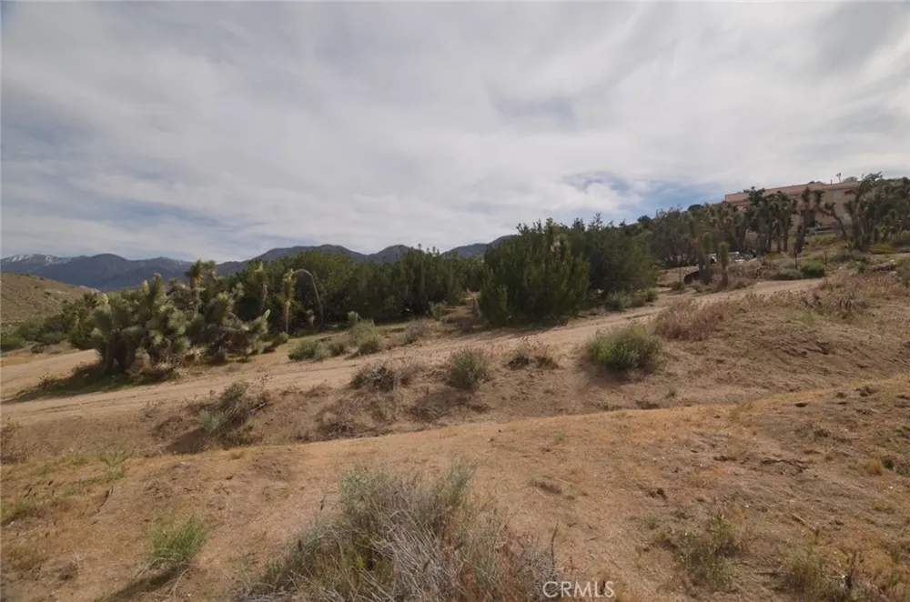 Longview x Old Homestead Juniper Hills, CA 93553