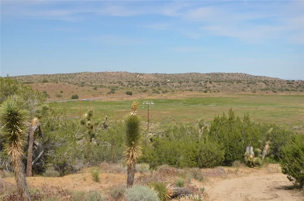 Longview x Old Homestead Juniper Hills, CA 93553