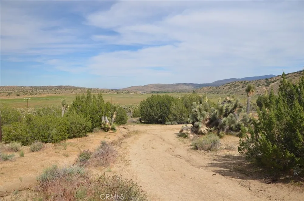 Longview x Old Homestead Juniper Hills, CA 93553