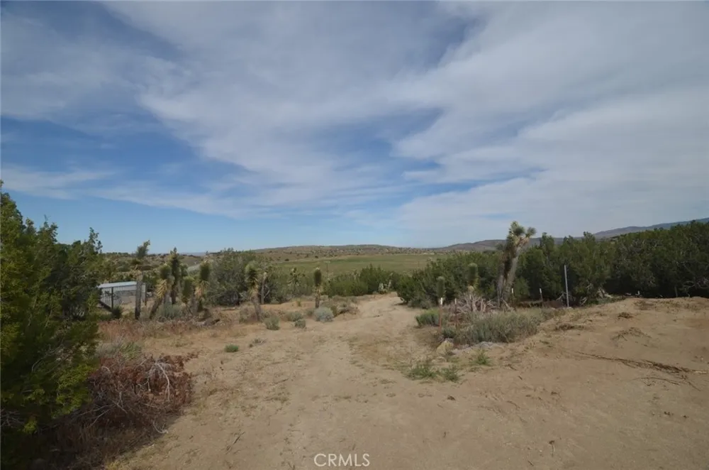 Longview x Old Homestead Juniper Hills, CA 93553