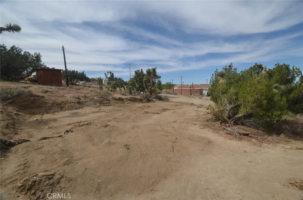 Longview x Old Homestead Juniper Hills, CA 93553