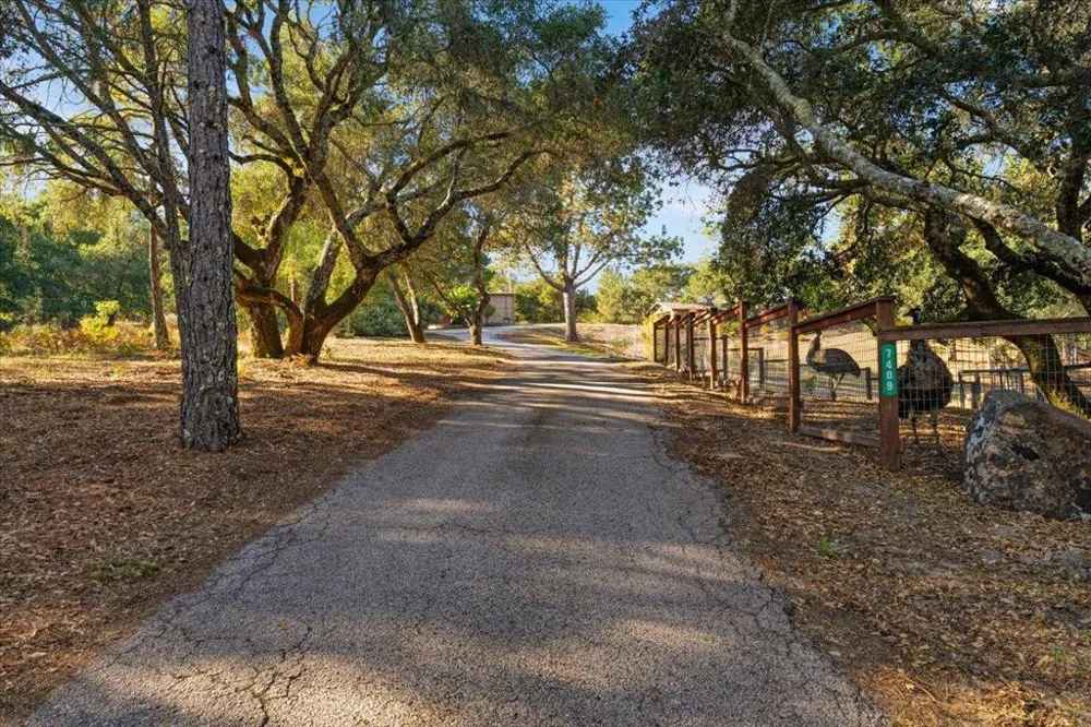 7409 Hihn Road Ben Lomond, CA 95005