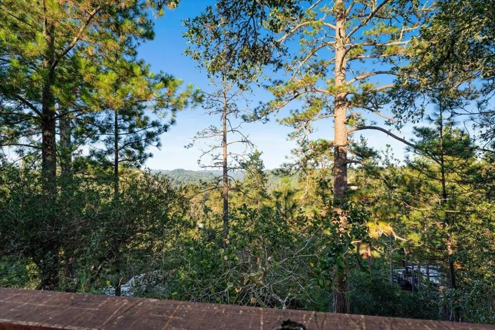 7409 Hihn Road Ben Lomond, CA 95005