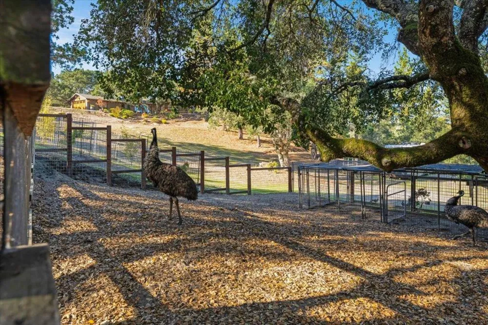 7409 Hihn Road Ben Lomond, CA 95005