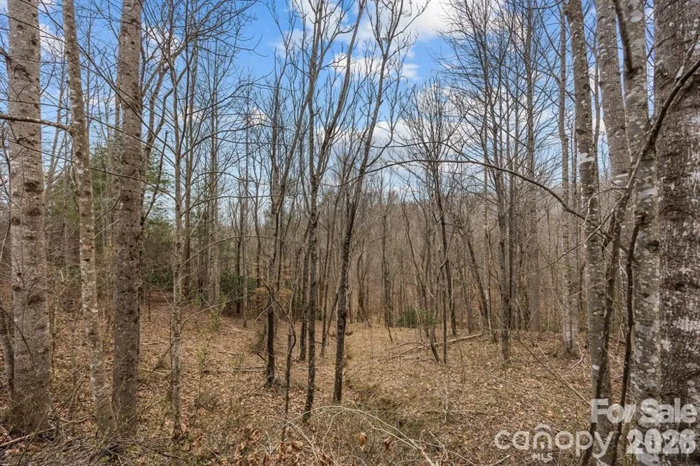 Lot 106 Glenhaven Drive Marion, NC 28752