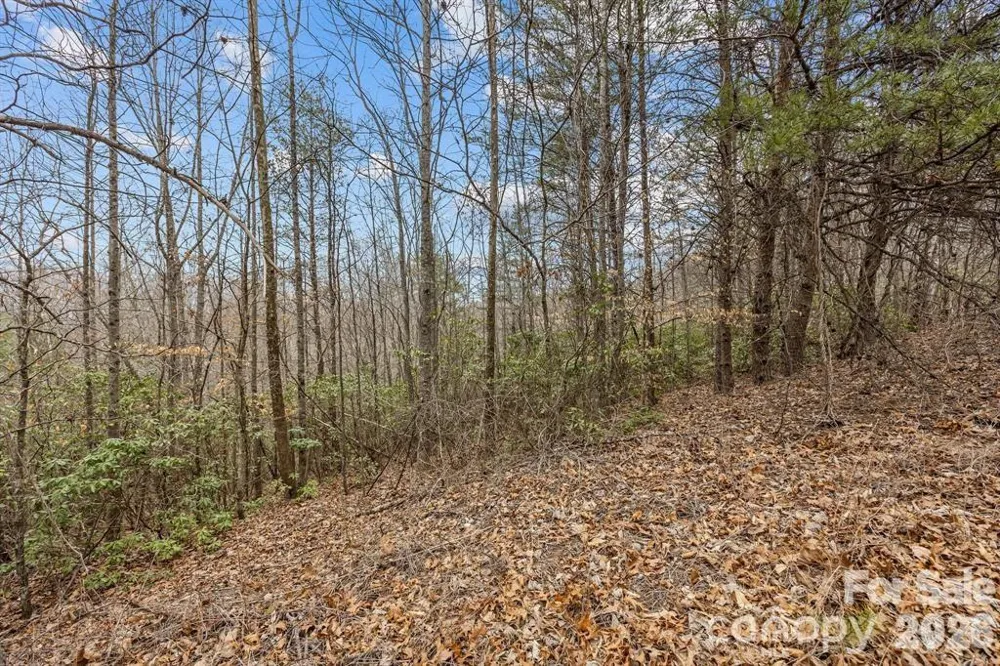 Lot 106 Glenhaven Drive Marion, NC 28752
