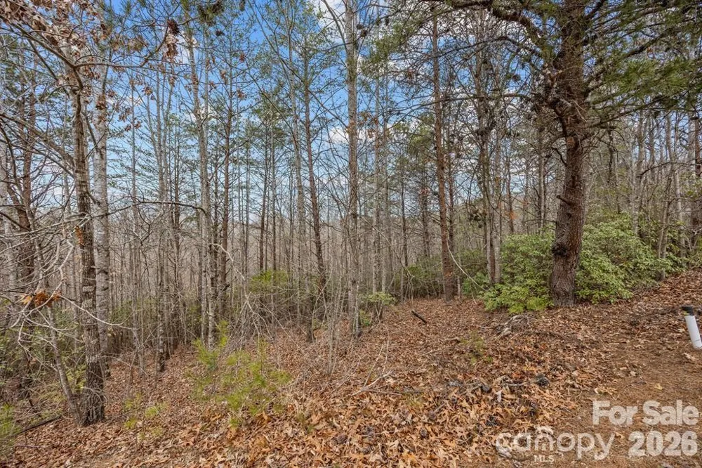 Lot 107 Glenhaven Drive Marion, NC 28752
