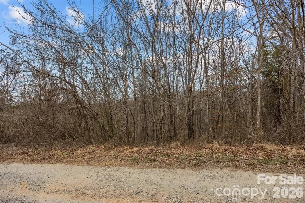 Lot 103 Glenhaven Drive Marion, NC 28752