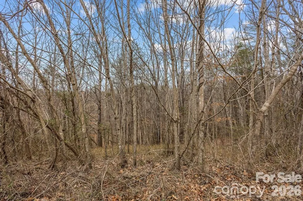 Lot 103 Glenhaven Drive Marion, NC 28752