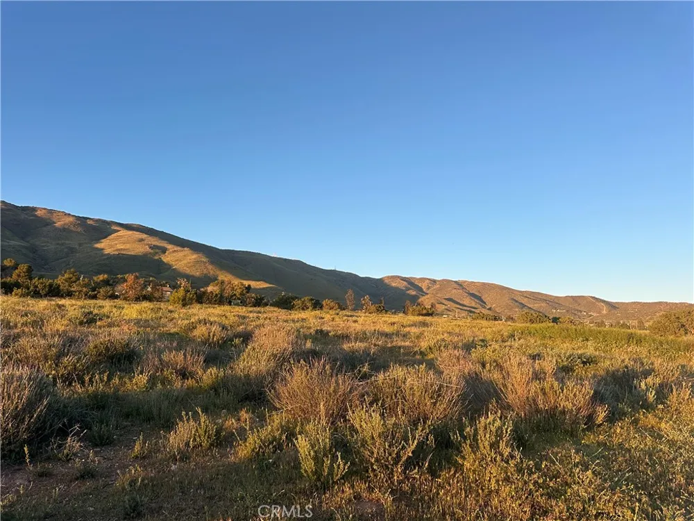 2 Hannah Ct Shannondale Acton, CA 93510