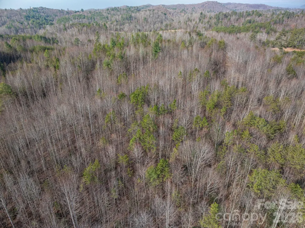 2091 Fork Creek Place Lenoir, NC 28645