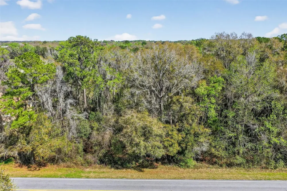 TBD NW HWY 225A Reddick, FL 32686