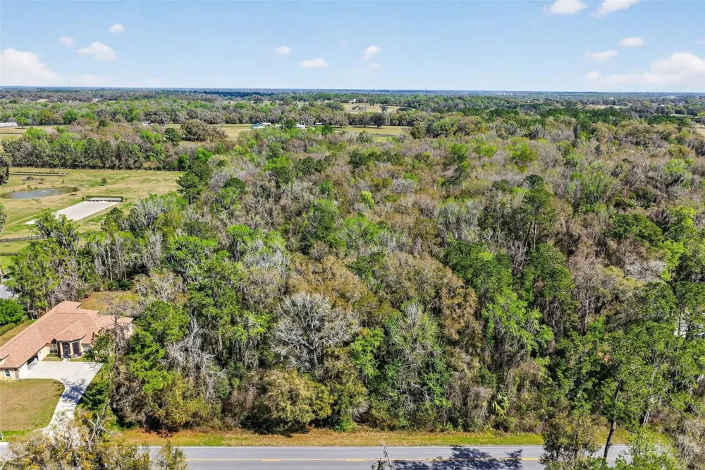 TBD NW HWY 225A Reddick, FL 32686