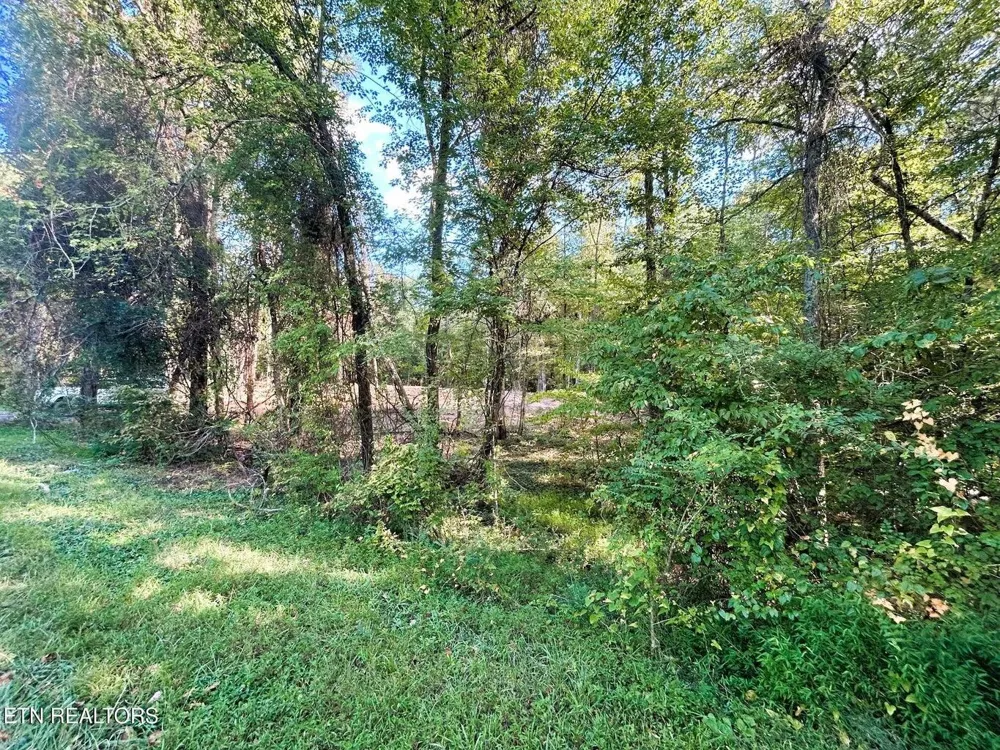 55 Pleasant Hill Road Ten Mile, TN 37880