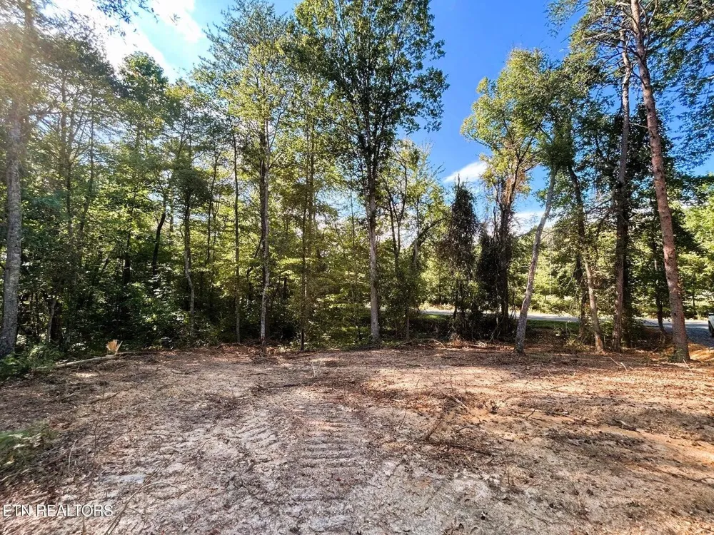55 Pleasant Hill Road Ten Mile, TN 37880