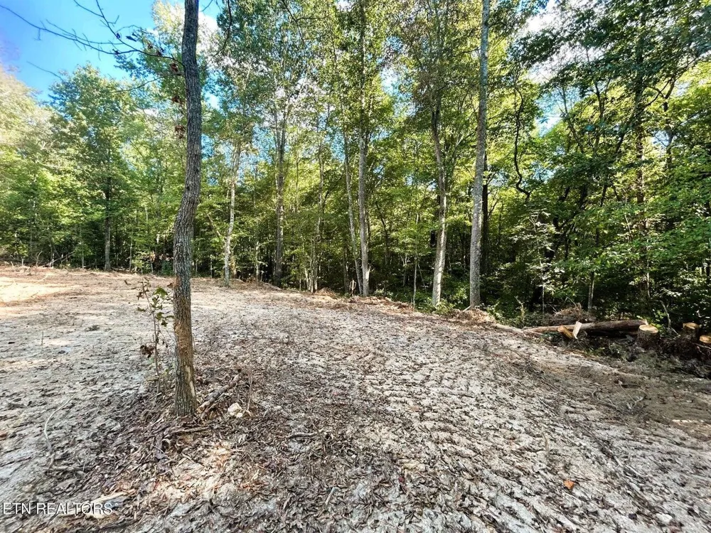 55 Pleasant Hill Road Ten Mile, TN 37880