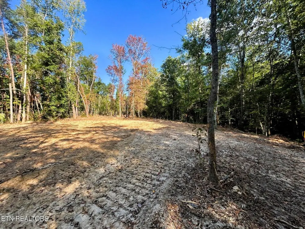 55 Pleasant Hill Road Ten Mile, TN 37880