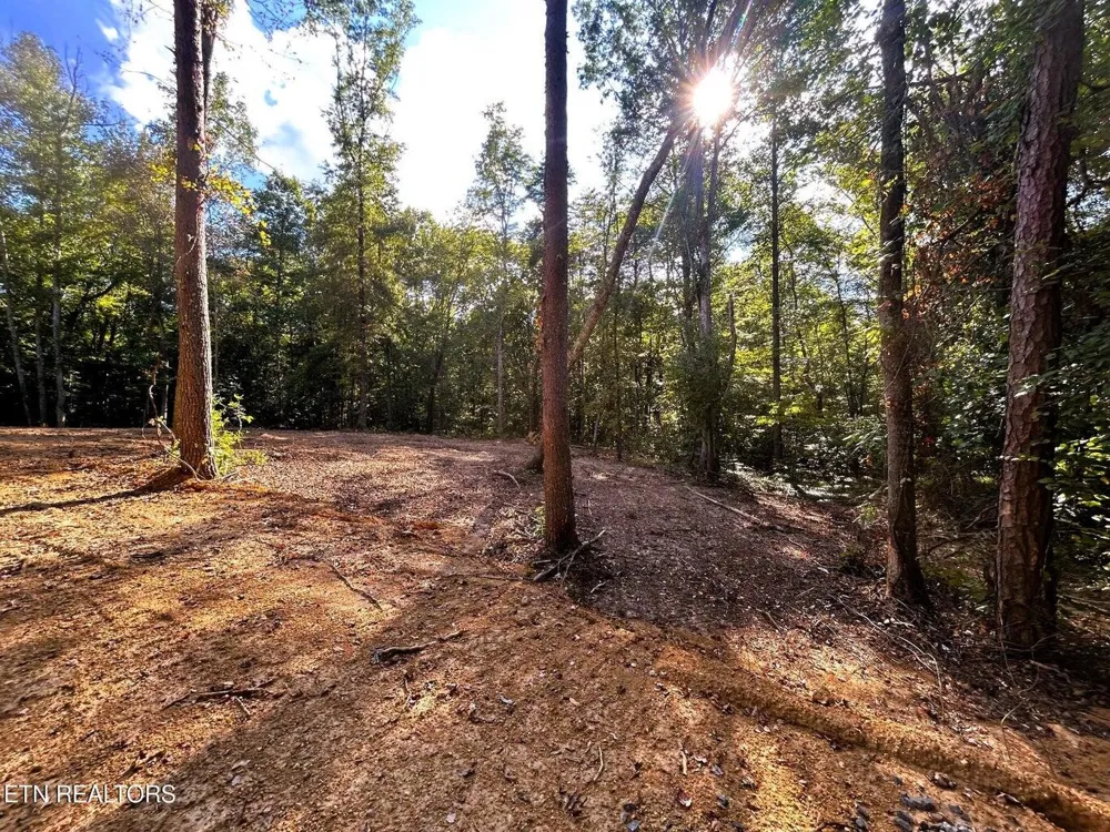 55 Pleasant Hill Road Ten Mile, TN 37880