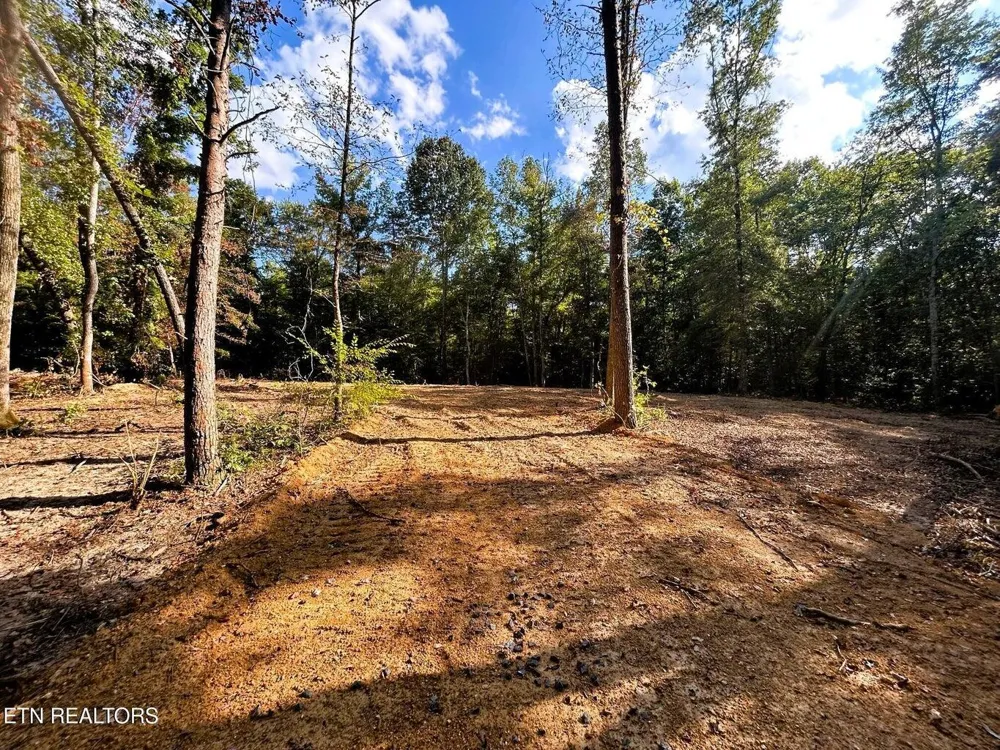 55 Pleasant Hill Road Ten Mile, TN 37880