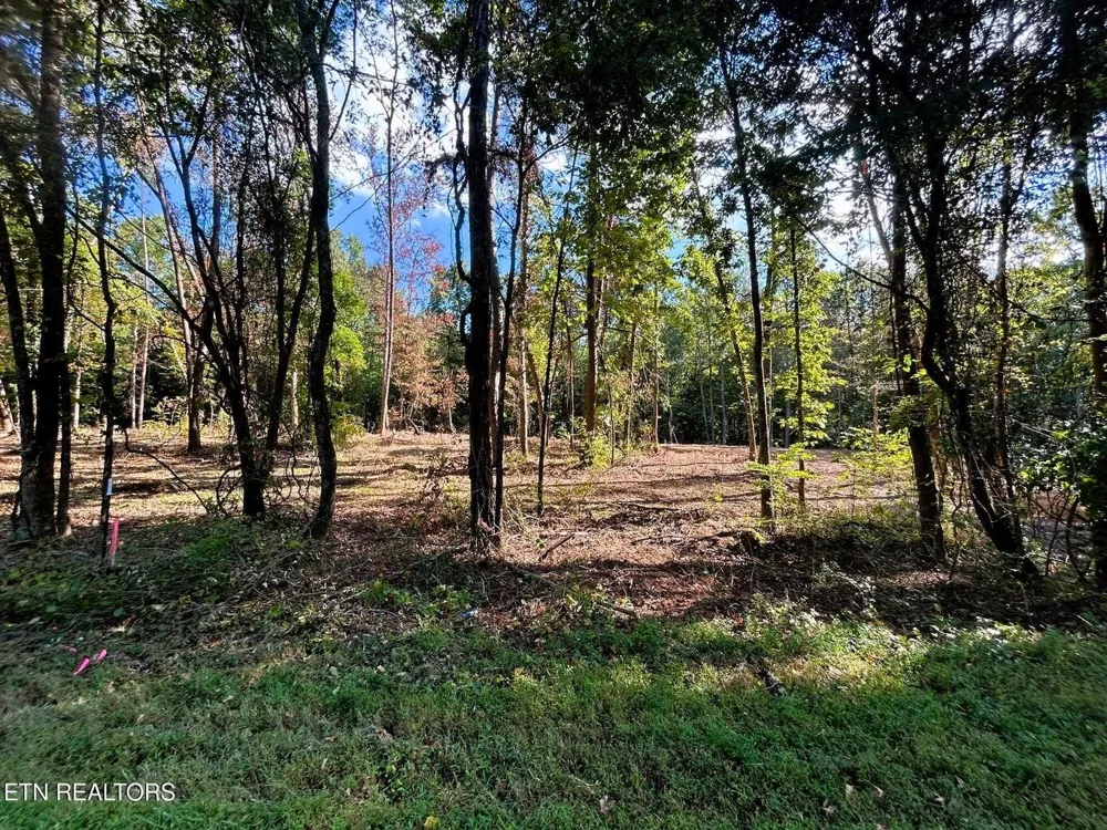 55 Pleasant Hill Road Ten Mile, TN 37880