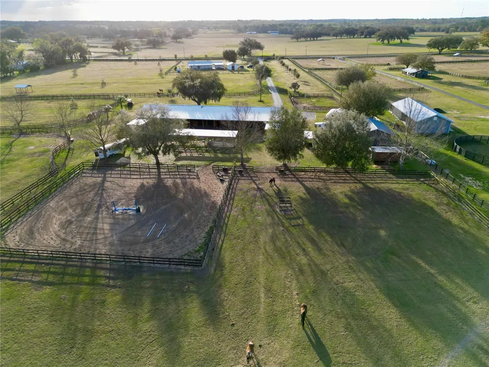 12895 NW GAINESVILLE ROAD Reddick, FL 32686