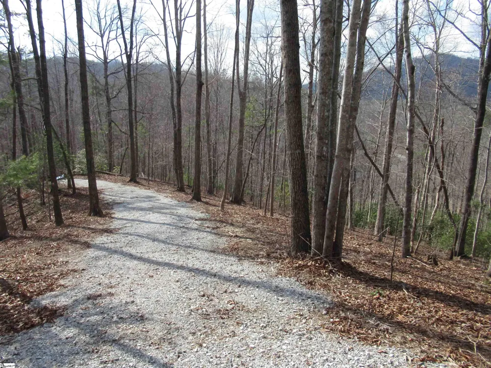 Belvoir Drive #Lots 31 and 32 Pickens, SC 29671