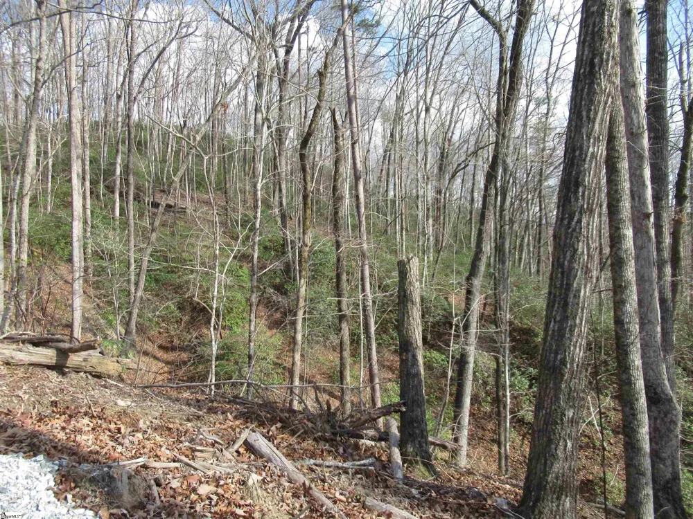 Belvoir Drive #Lots 31 and 32 Pickens, SC 29671
