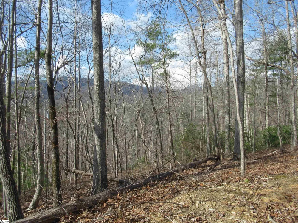 Belvoir Drive #Lots 31 and 32 Pickens, SC 29671