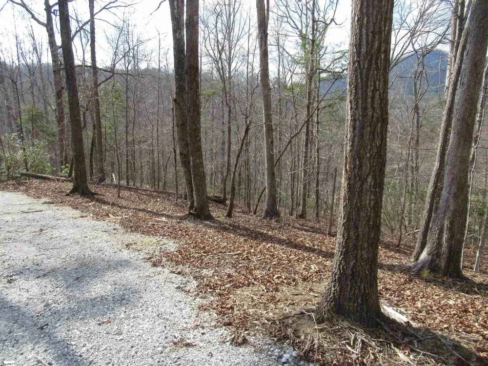 Belvoir Drive #Lots 31 and 32 Pickens, SC 29671
