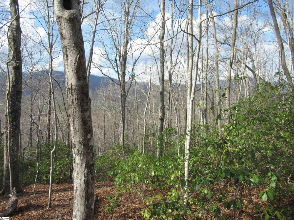 Belvoir Drive #Lots 31 and 32 Pickens, SC 29671