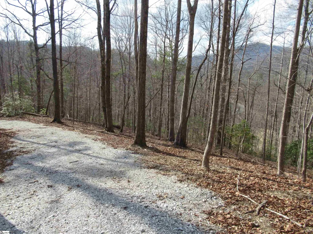 Belvoir Drive #Lots 31 and 32 Pickens, SC 29671