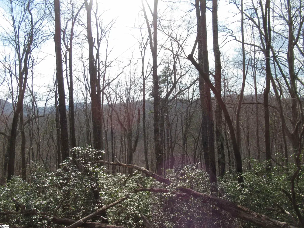 Belvoir Drive #Lots 31 and 32 Pickens, SC 29671