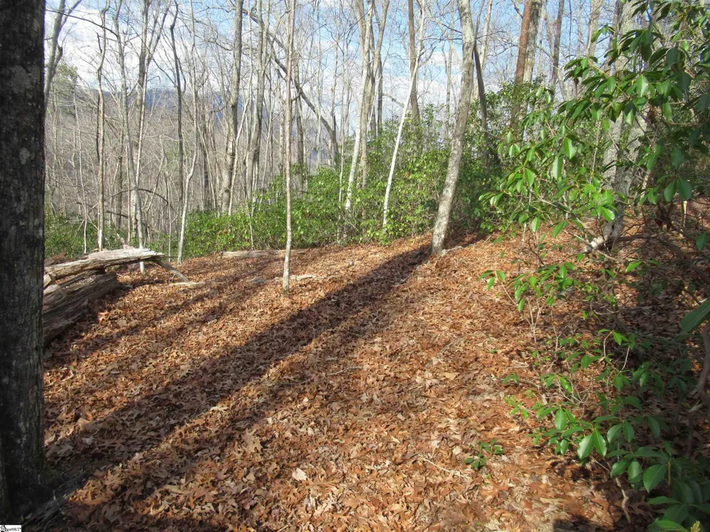 Belvoir Drive #Lots 31 and 32 Pickens, SC 29671