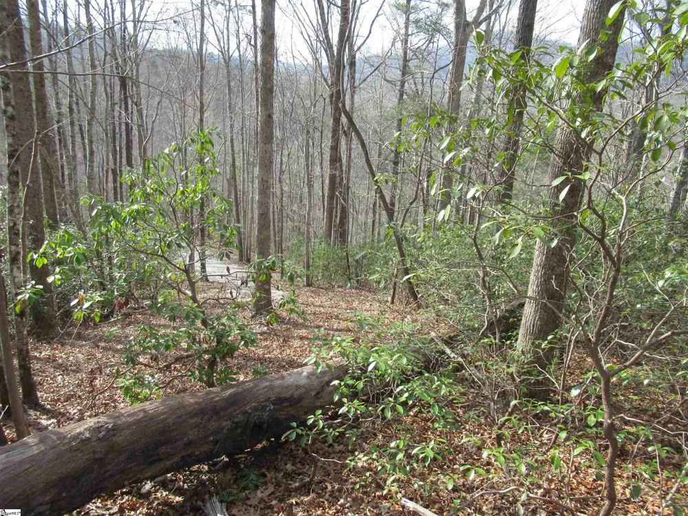 Belvoir Drive #Lots 31 and 32 Pickens, SC 29671