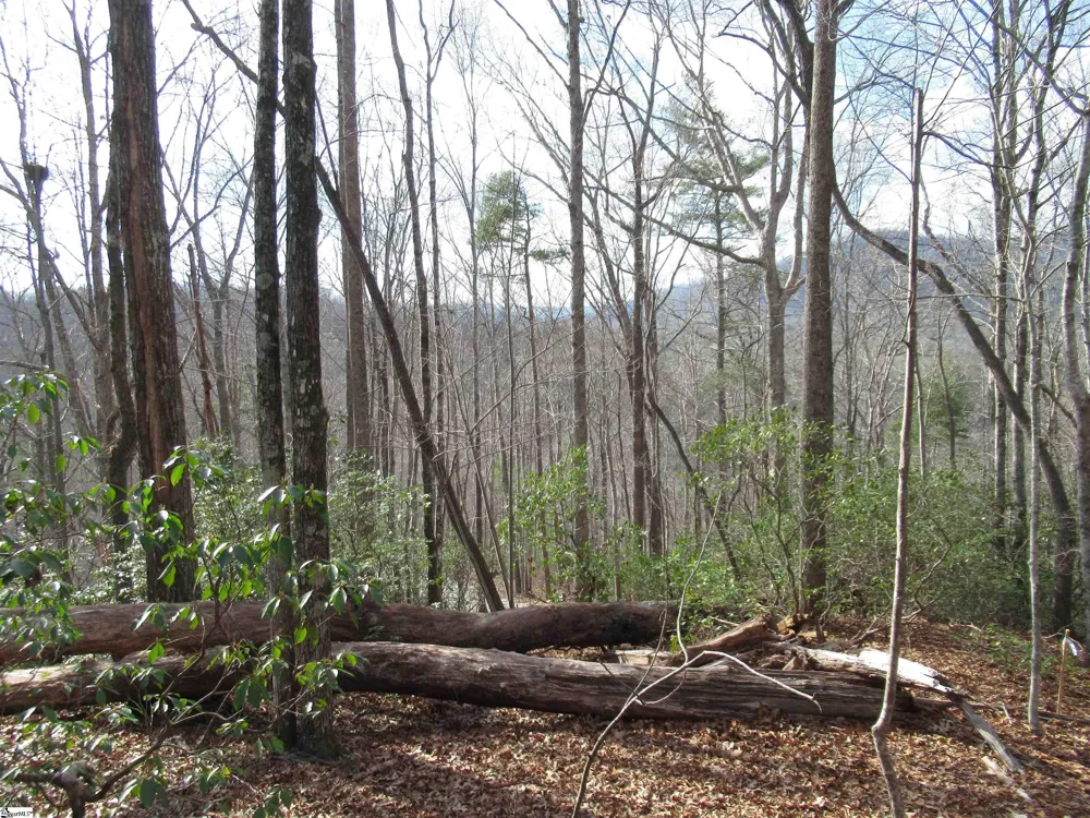 Belvoir Drive #Lots 31 and 32 Pickens, SC 29671