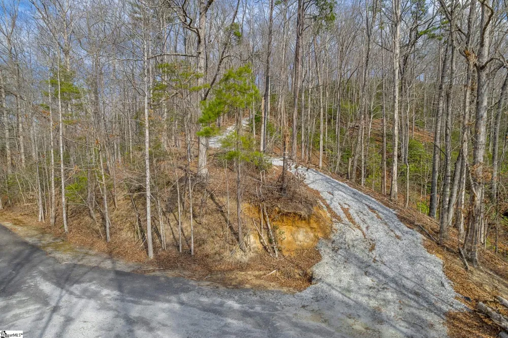 Belvoir Drive #Lots 31 and 32 Pickens, SC 29671