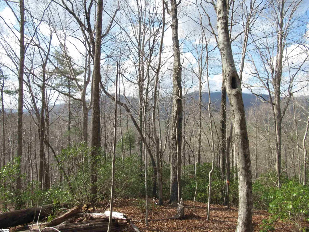 Belvoir Drive #Lots 31 and 32 Pickens, SC 29671