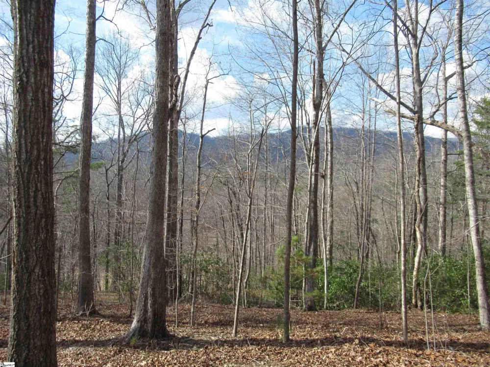 Belvoir Drive #Lots 31 and 32 Pickens, SC 29671