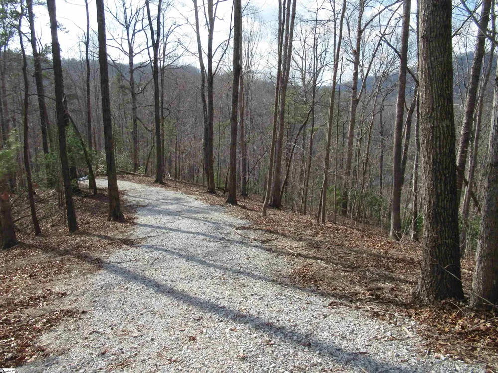 Belvoir Drive #Lots 31 and 32 Pickens, SC 29671