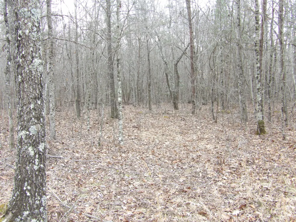 Camp Creek Road Spencer, TN 38585