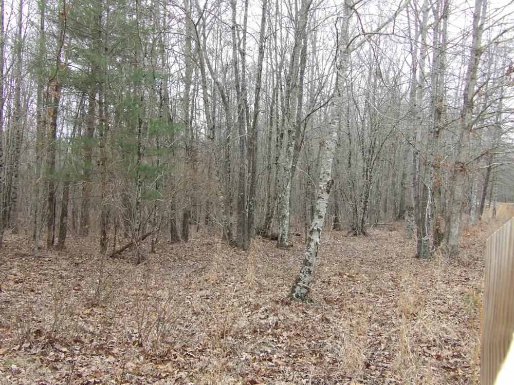Camp Creek Road Spencer, TN 38585