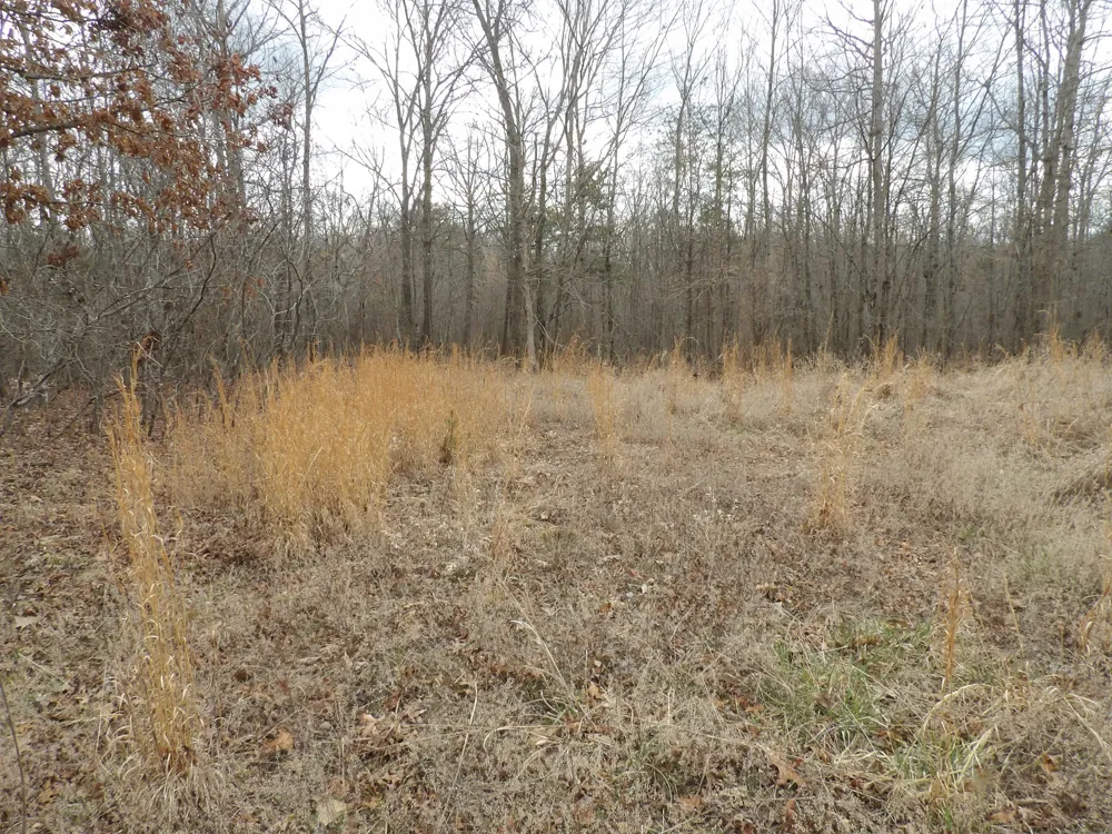 Camp Creek Road Spencer, TN 38585