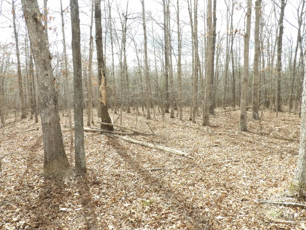 Camp Creek Road Spencer, TN 38585