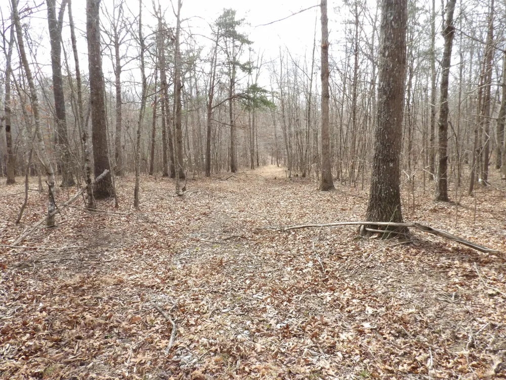 Camp Creek Road Spencer, TN 38585