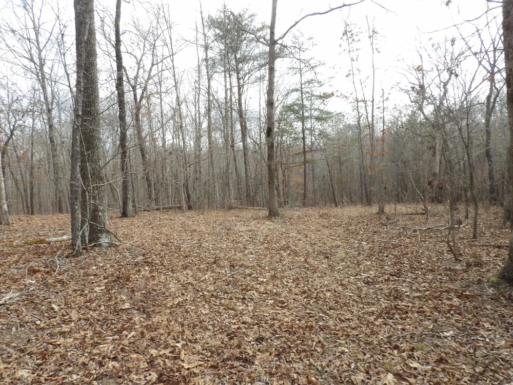 Camp Creek Road Spencer, TN 38585