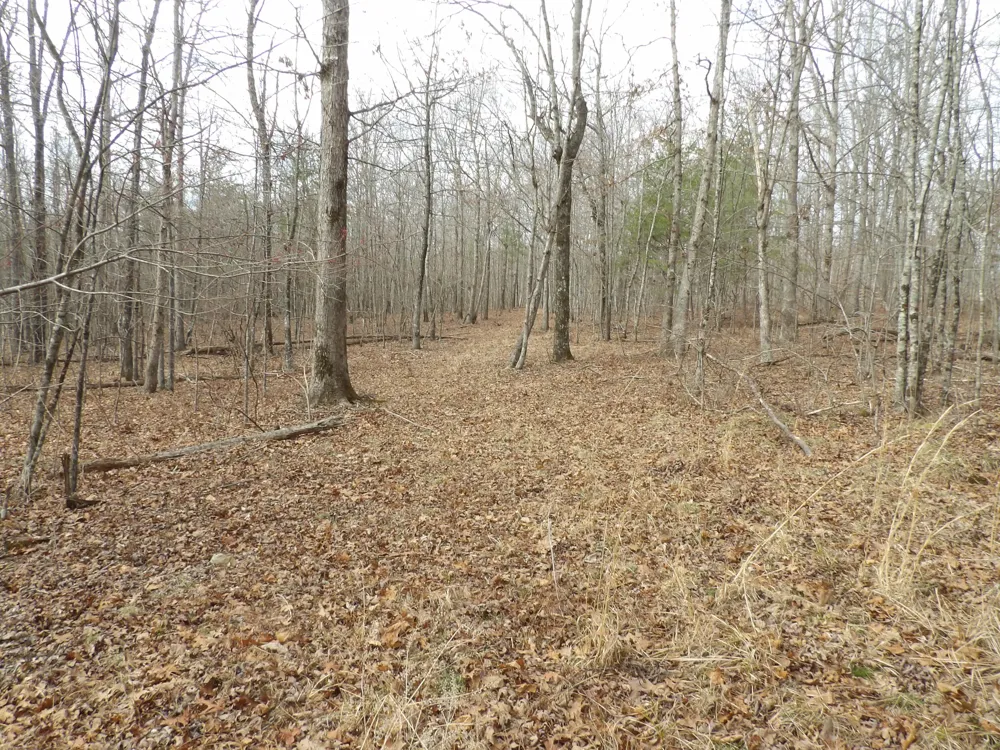 Camp Creek Road Spencer, TN 38585