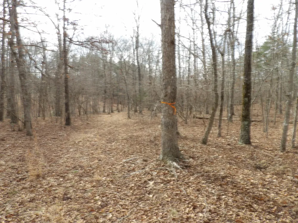 Camp Creek Road Spencer, TN 38585