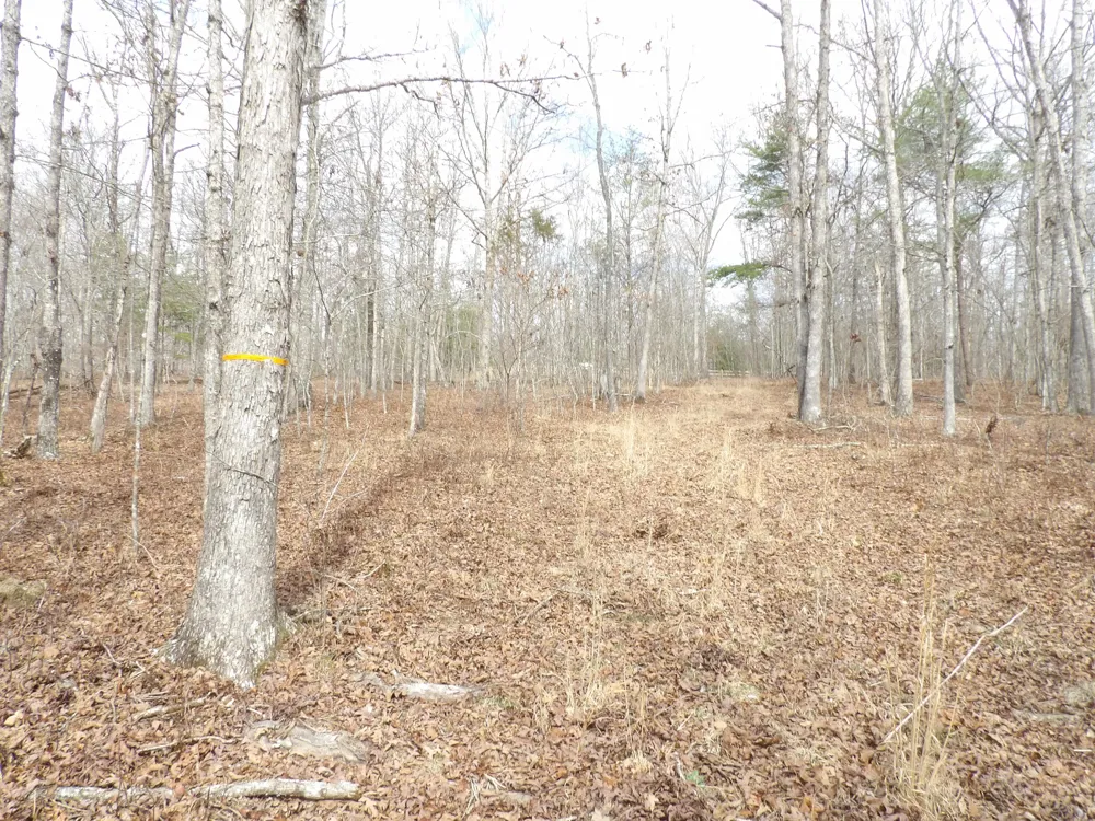 Camp Creek Road Spencer, TN 38585