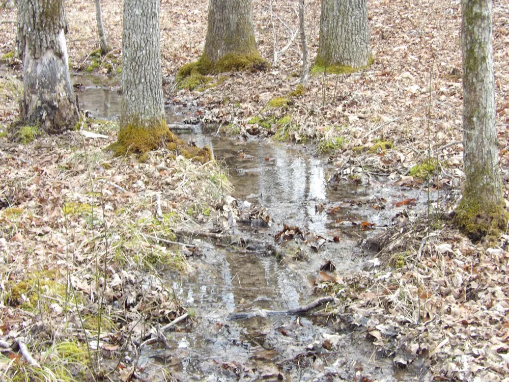 Camp Creek Road Spencer, TN 38585